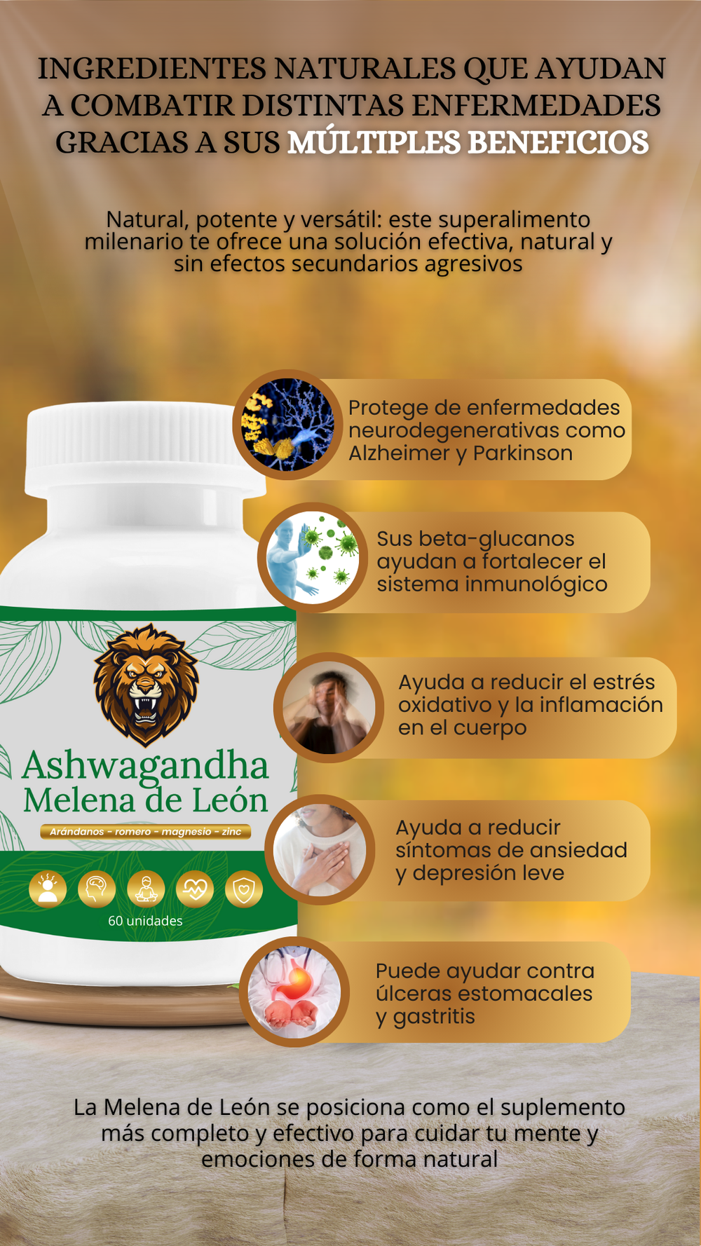 Beneficios Top