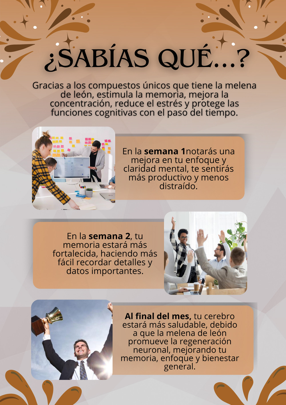 Imagen desde media[5]